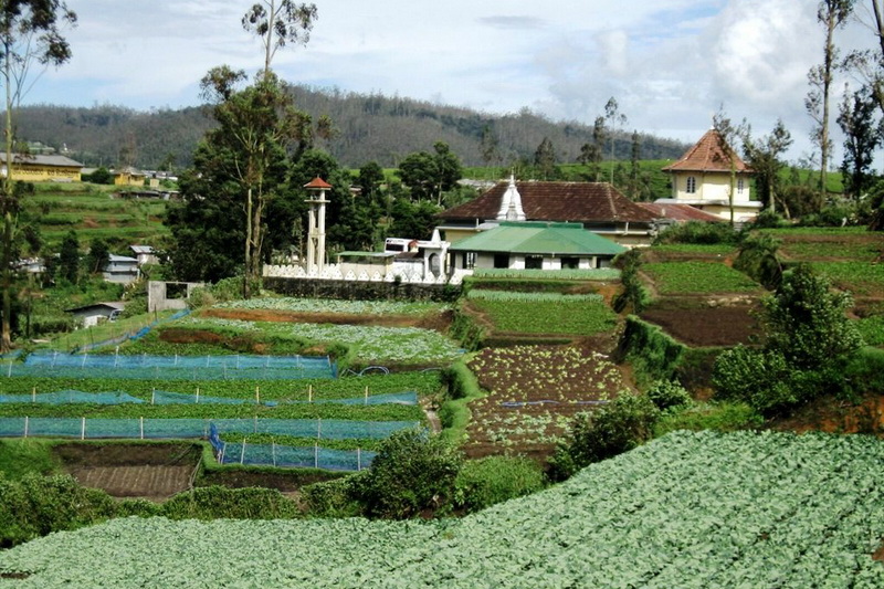 Sri Lanka, Nuwara Eliya